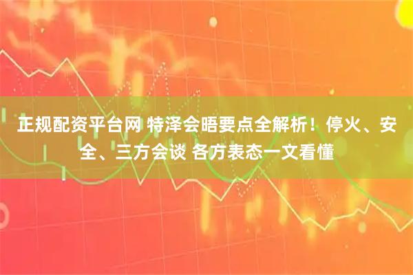 正规配资平台网 特泽会晤要点全解析！停火、安全、三方会谈 各方表态一文看懂
